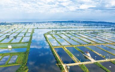 江西省九江市:“生态养鱼”的转型升级之路